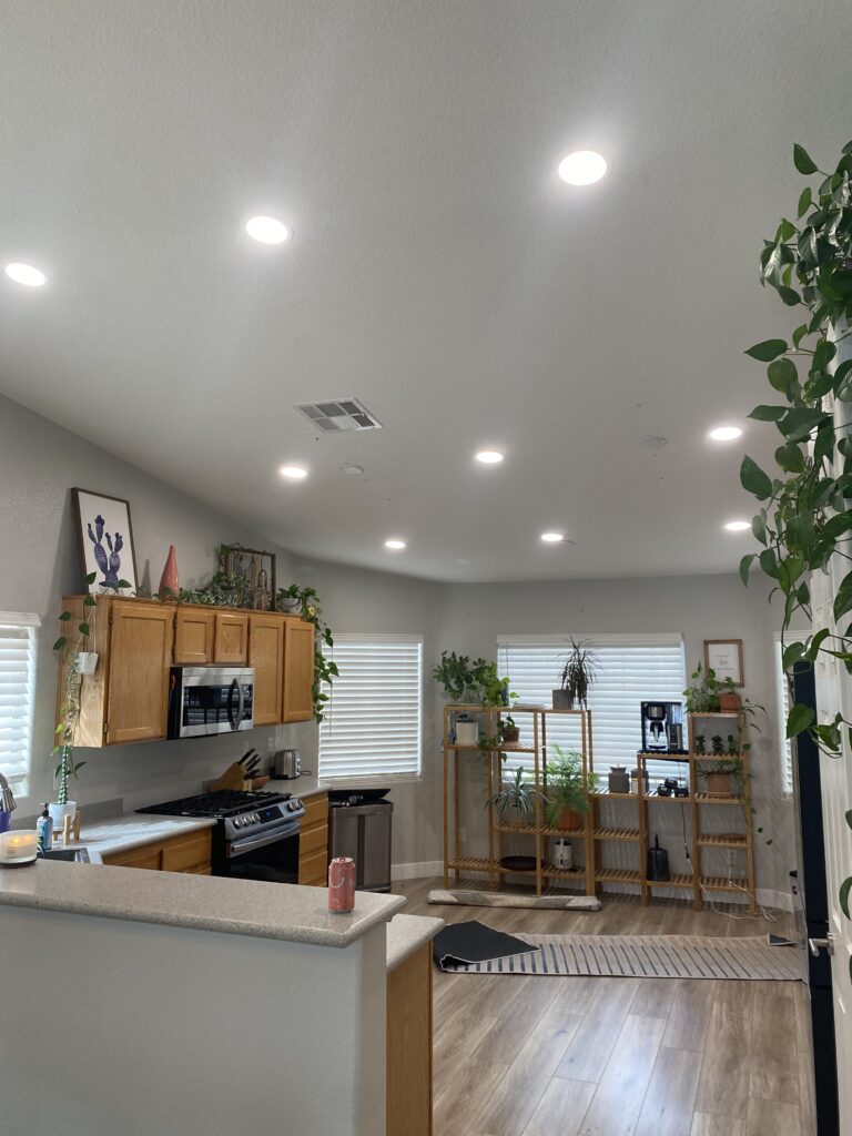 Open kitchen and living area with wooden cabinets stainless steel oven and many potted plants on shelves ceiling features multiple recessed lights and a cheerful plant filled feel