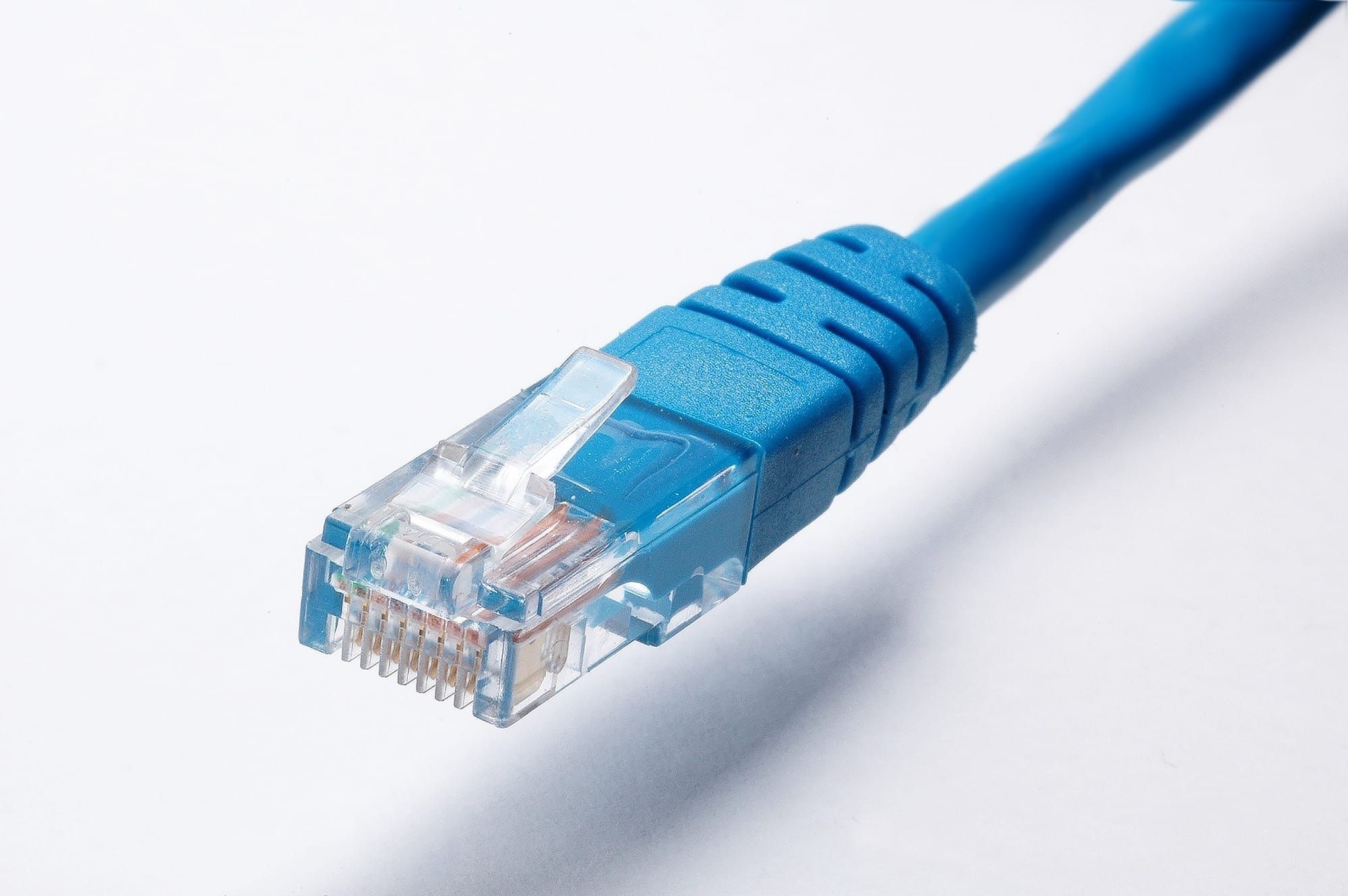 Blue Ethernet RJ45 plug with clear housing and gold pins on a white background network cable end